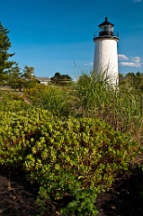 Wildflowers Surround Plum Island Lighthouse in Massachusetts